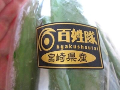 百姓隊9・1 (9).JPG