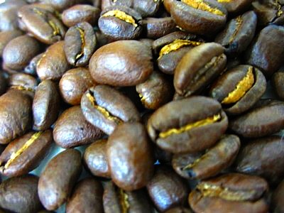 うえしまコーヒー (31).JPG