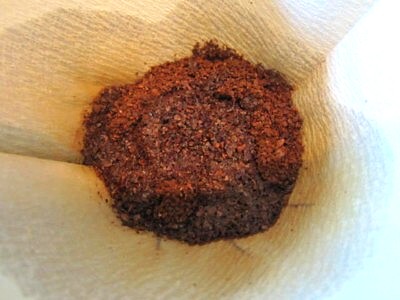 うえしまコーヒー (12).JPG
