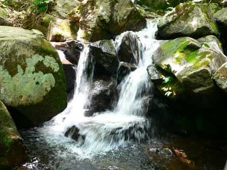 宇津江四十八滝
