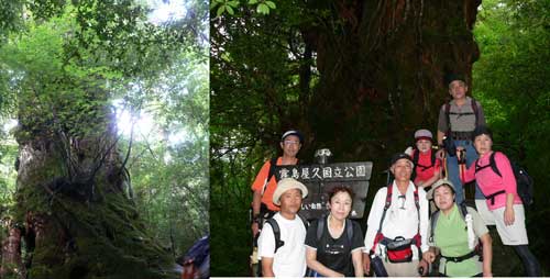 屋久島 縄文杉登山
