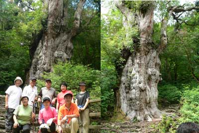 屋久島 縄文杉登山