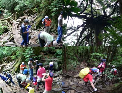 屋久島 縄文杉登山