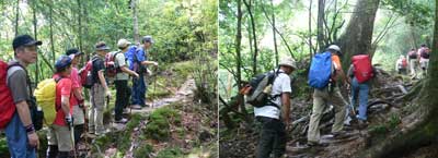 屋久島 縄文杉登山
