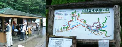 屋久島 もののけ姫の森
