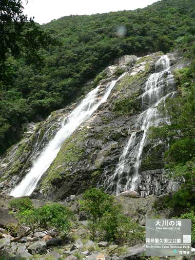 屋久島