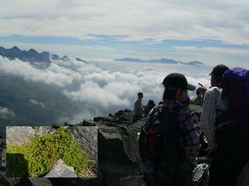 蓼科山登山