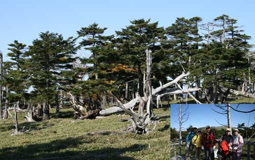 大台ケ原ハイキング