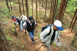 戸倉山登山
