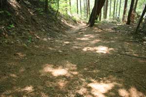 戸倉山登山