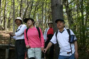 戸倉山登山