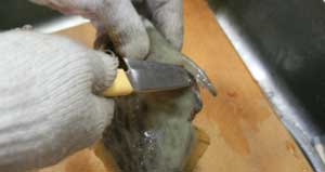 カワハギの料理