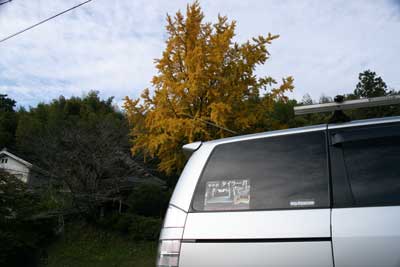 小原村 紅葉と桜
