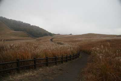 曽爾高原2008