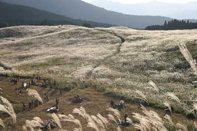 曽爾高原2008