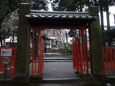 初詣 南宮大社 4