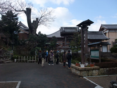 初詣 南宮大社 5