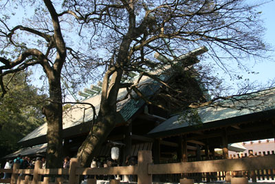 熱田神宮 3