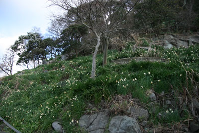 かれい崎荘
