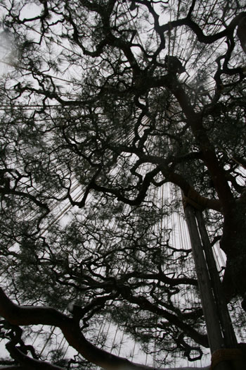 兼六園