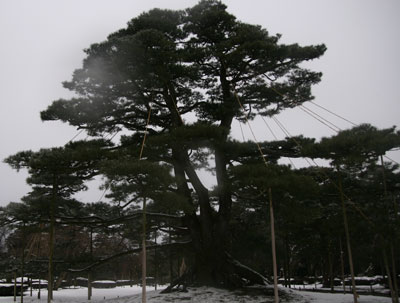 兼六園