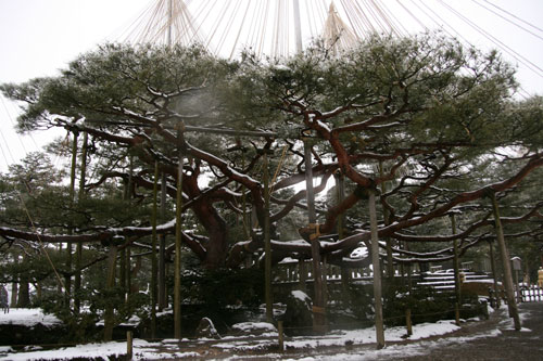 兼六園