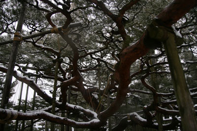 兼六園