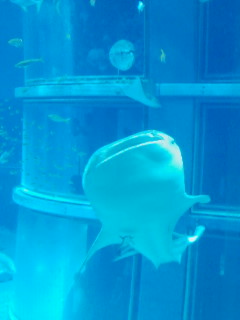 070812_0957~01.jpg