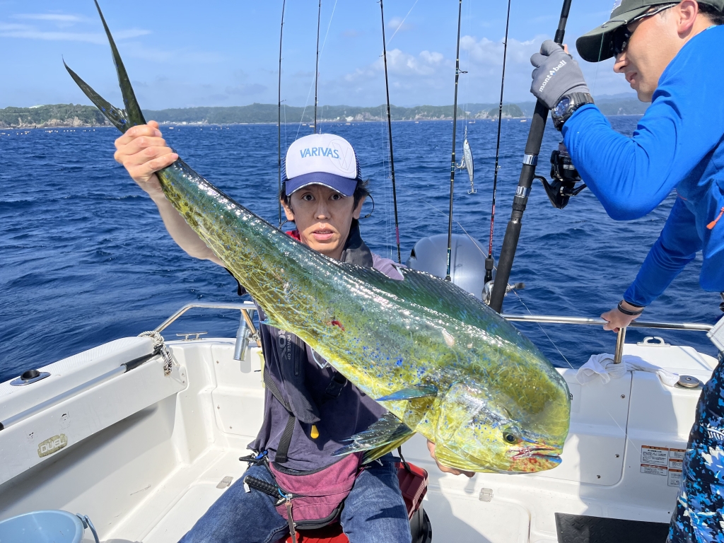 ブルーフィン熊野灘のジギング…シイラの夏！珍魚沖サヨリも！ | 和歌山
