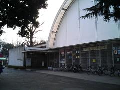 jiugu