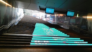 100306_110643_ed.jpg