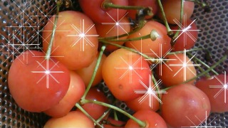 100709_153118_ed.jpg