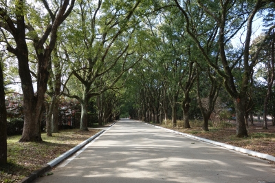 京都府立植物園