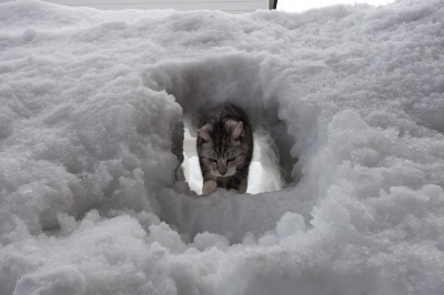 雪のトンネル
