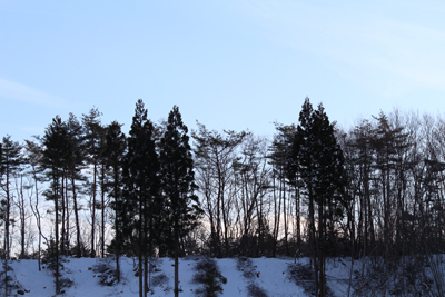 IMG_5089s.jpg