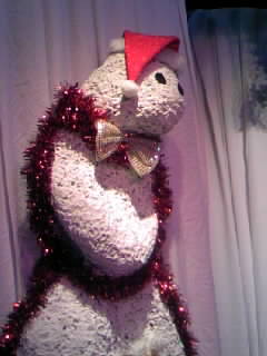 111220_222423.JPG