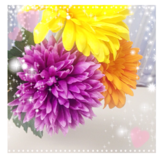IMG_1891.PNG