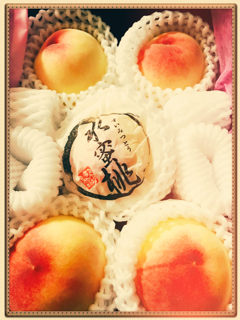 IMG_1865.PNG