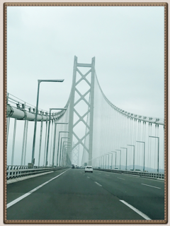 IMG_2490.PNG