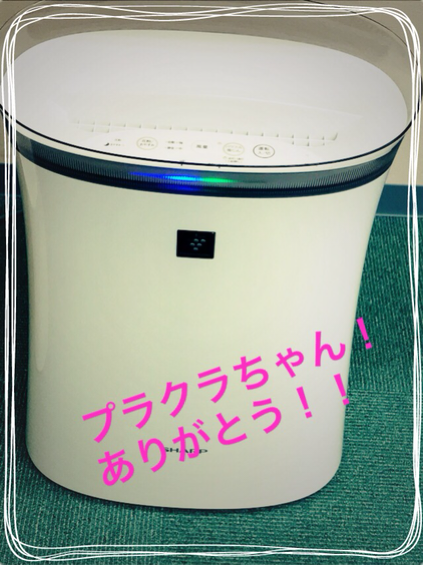 IMG_5804.PNG