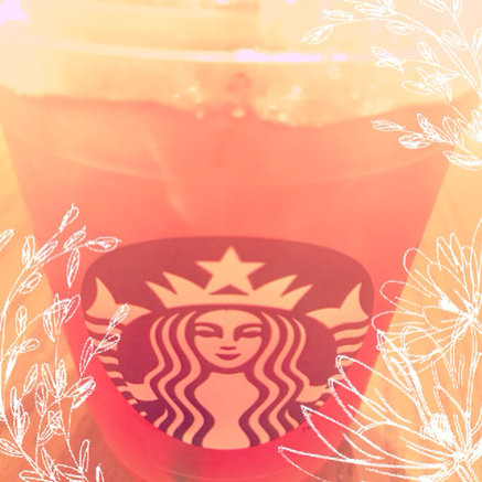 IMG_6624.PNG