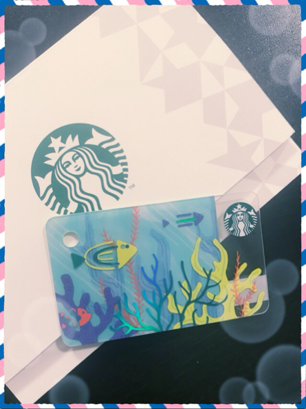 IMG_6684.PNG