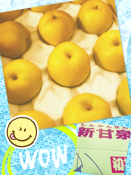 IMG_7040.PNG
