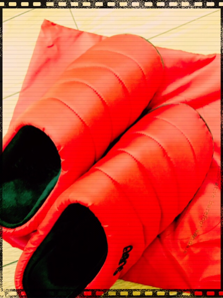 IMG_8440.PNG