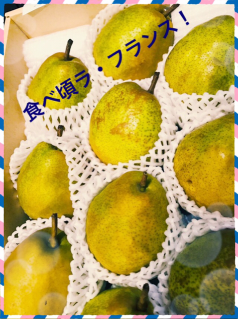 IMG_8684.PNG