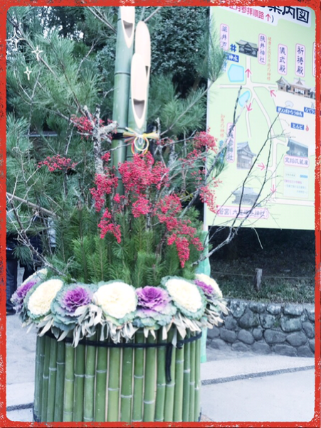 IMG_8780.PNG