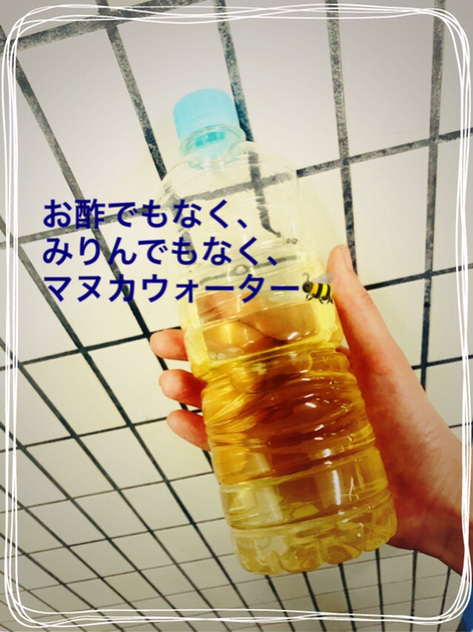 IMG_0561.PNG