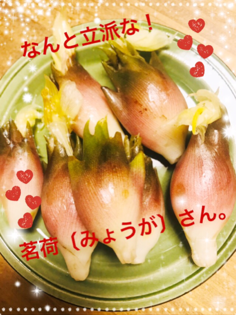 IMG_2127.PNG