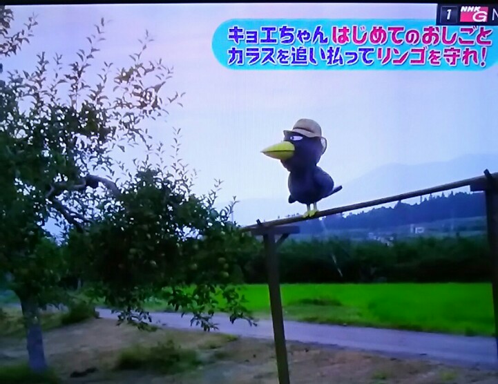 キョエちゃんの初仕事!!!!!/「ボーっと生きてんじゃねえよ
