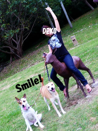 ¥¢¥Û¤Ê¥¢¥¿¥·